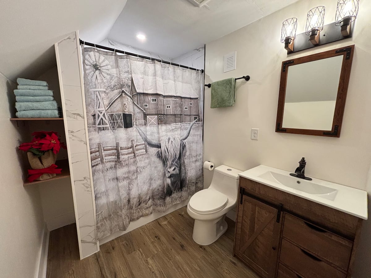 Modern farmhouse bathroom
